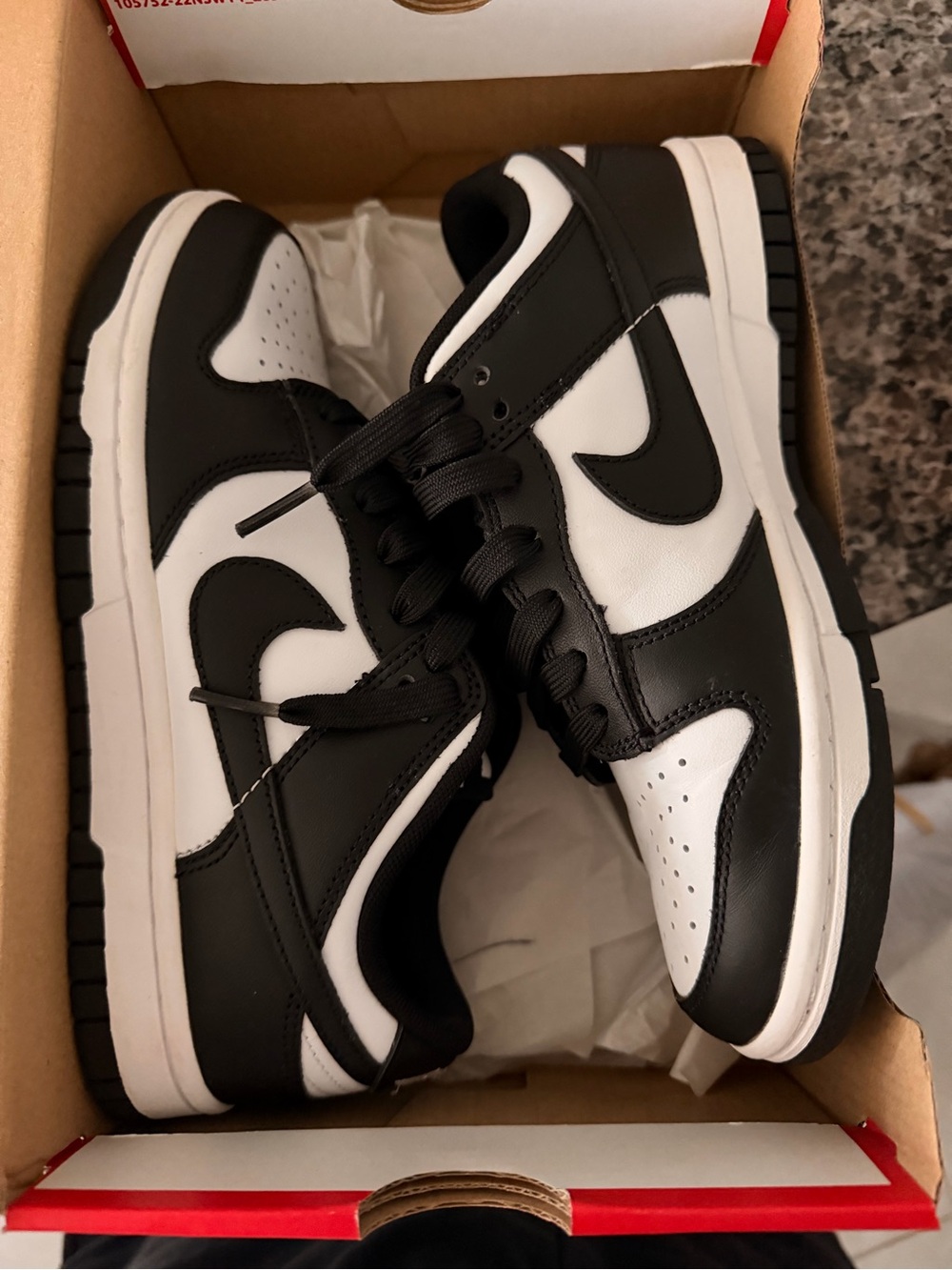Panda Nike Dunks